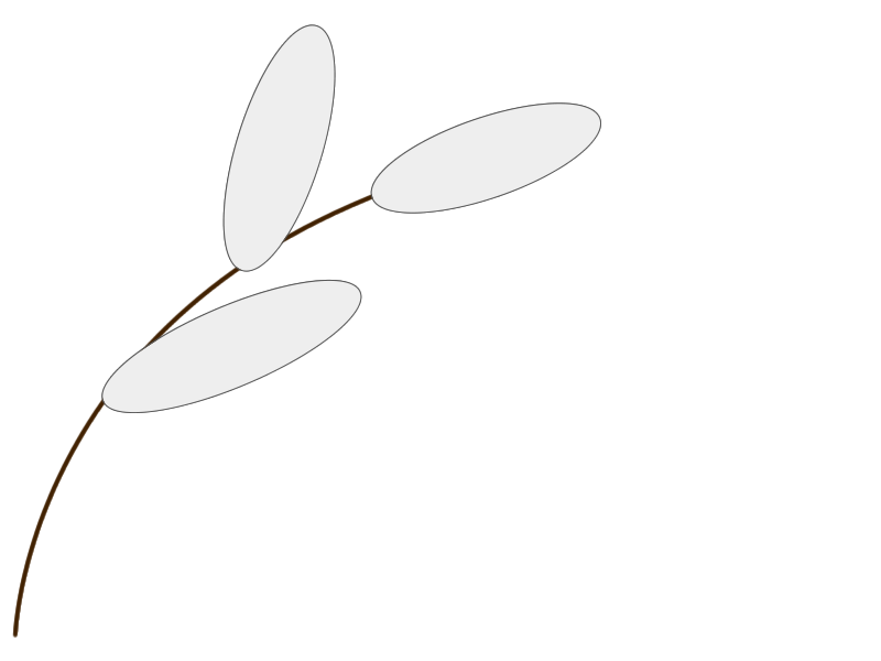 画像：ねこやなぎ七福堂鍼灸院