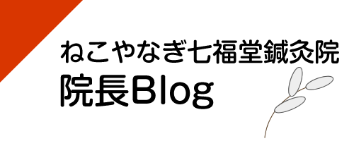 画像:ねこやなぎ七福堂鍼灸院院長ブログ